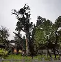 嵩山雷霆队鏖战徽州金雕队，摩托车赛大奖赛击败，替补奇兵立功。门前嗅觉决定胜负-九游体育下载